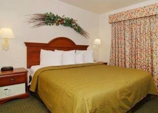 Hotel Oyo Dfw Airport North 2*